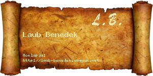Laub Benedek névjegykártya